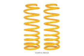 XGS COIL SPRINGS REAR RAISED 100KG PAIR